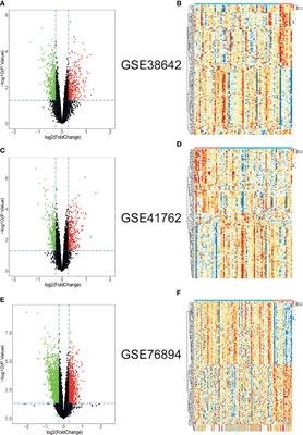 Bioinformatics Analysis Identifies Potential Ferroptosis Key Gene in Type 2 Diabetic Islet Dysfunction